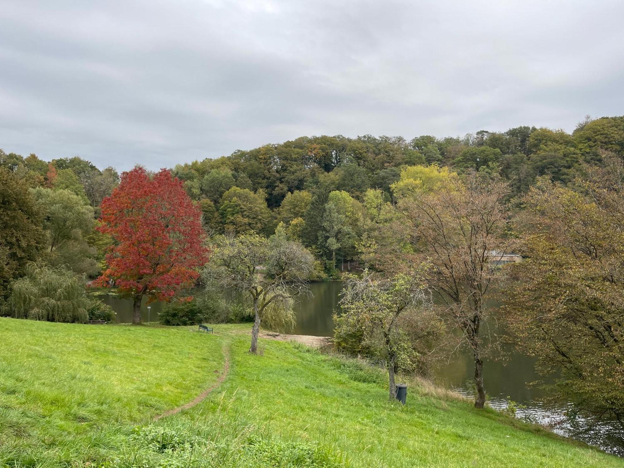 Ferienhaus Eifelstuben Mit Charme - Bauernstube Vulkaneifel - Naehe See Und Burgruine Ulmen المظهر الخارجي الصورة